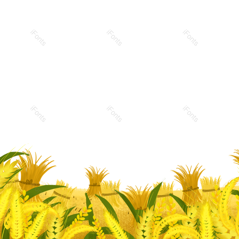 芒种图片,秋天元素,丰收PNG,免抠素材